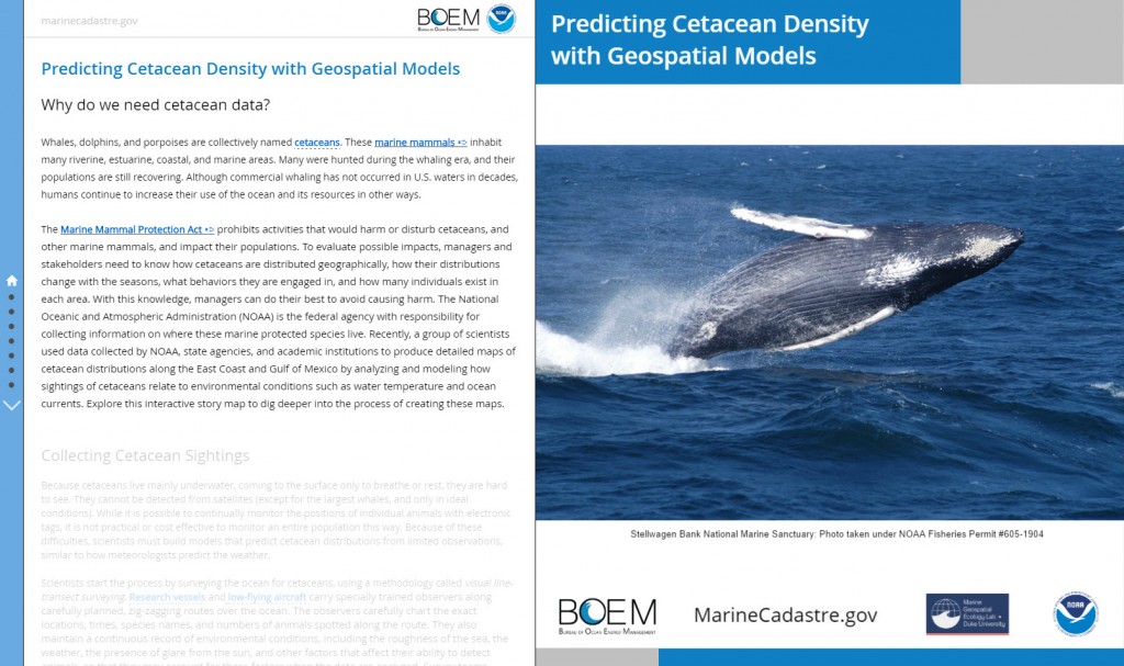 Predicting Cetacean Density with Geospatial Models story map